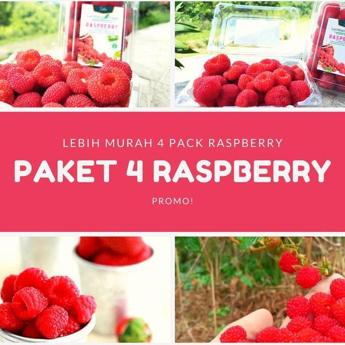 paket hemat 4 Raspberry Lembang Fresh