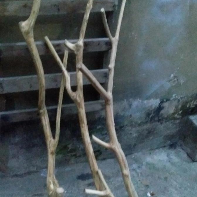 ranting kayu standing pot gantung dekorasi