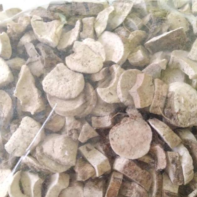 Keladi Tikus Kering 100Gr - Herbal Keladi Tikus