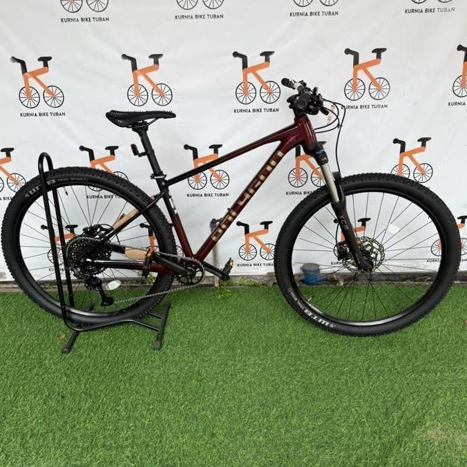 Terlaris Sepeda Mtb Polygon Xtrada 5 - New Fa, S