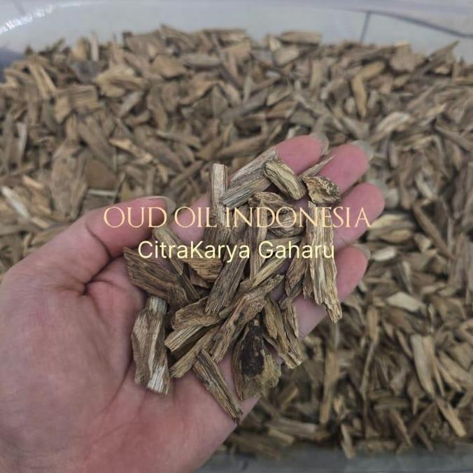 Kayu Gaharu Asli Alami Aroma TRI Malinau