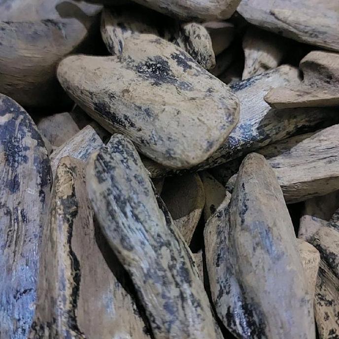 Kayu Gaharu Merauke Papua wangi Asli GM01