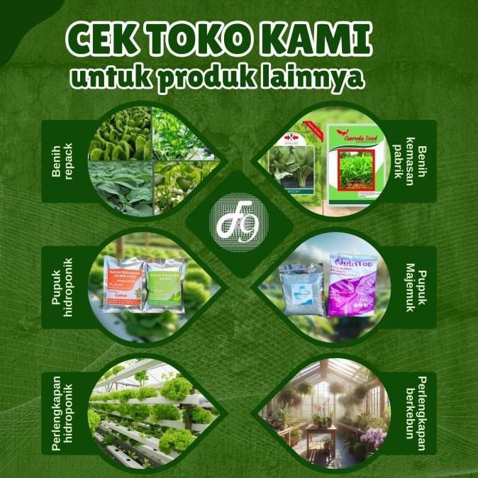 Paket Benih Bibit Sayuran Daun Lengkap 10 Jenis Benih Sayuran