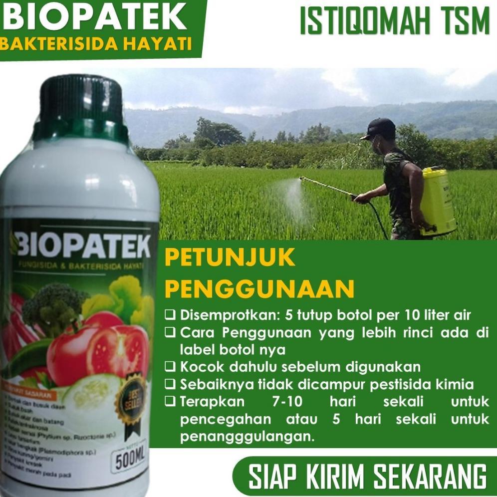 Bisa Cod Obat Kresek Padi Paling Ampuh Biopatek, Mengobati Kresek Padi, Atasi Kresek Daun Padi 100% 