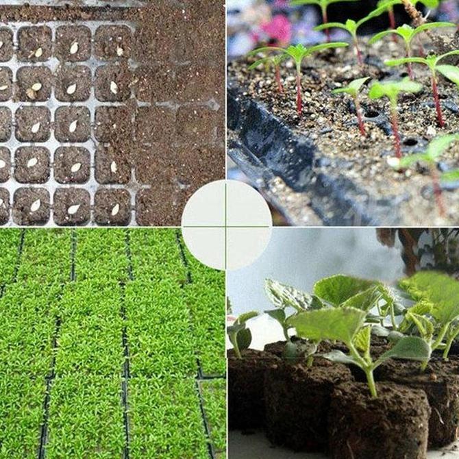 SOLALA 20PcsNampan Semai, Nampan Tanam, Nampan Semai, Pot Semai, Nampan Tanam Cabai, Nampan Semai Su