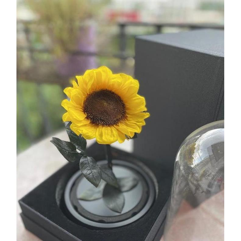 Sun flowers dome - eternal PAS