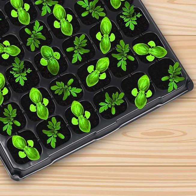 Bisa Cod Paket Hemat Tray Semai Tanaman Tray Penyemaian Bibit Tanaman Tray Semai Trai Semai No Holes