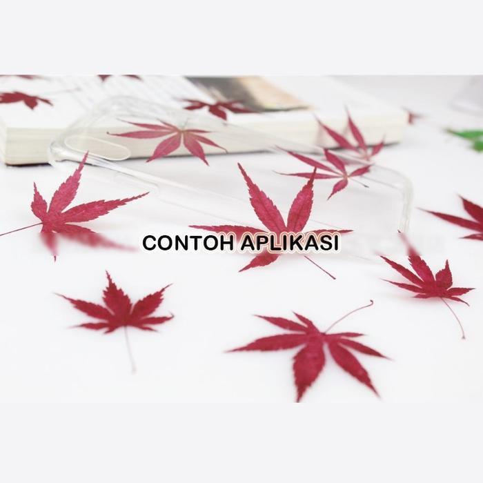(Diskon) Daun Maple Dried Pressed Flower Maple Leaf Bunga Kering Hiasan Case Hp Scrapbook Pigura Bes