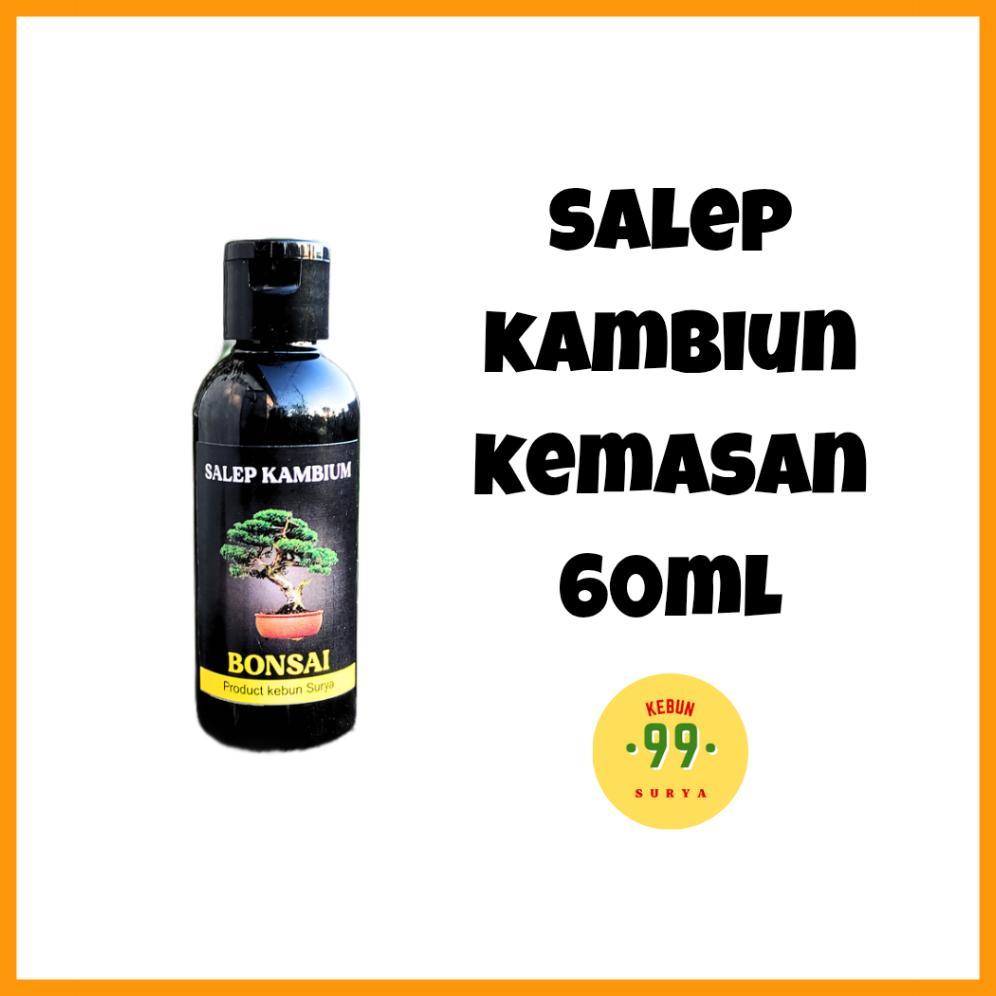 Bisa Cod Paket Alat Bonsai Satu Set Catok Tajam Gunting Pruning Salep Kambium Dan Kawat Satu Paket >