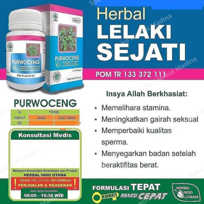 Kapsul Purwoceng Original Obat Kuat Pria Perkasa Stamina Lelaki