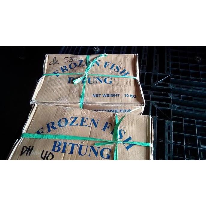 Fnbb- Ikan Deho Beku/ Tongkol Beku/ Ikan Beku / Size 3-10 Pcs/Kg