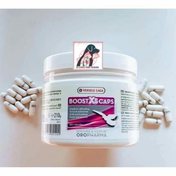 Bridwoi- Boost X5 Caps Versele Laga Vitamin Kapsul Burung Merpati Balap Kolong