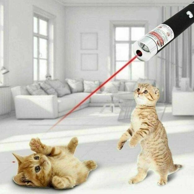KEZHINES Gantungan Kunci Red Laser Pointer Tunjuk Senter Lampu Mini 2in1 2 in 1 Red Dot Mainan Anak 