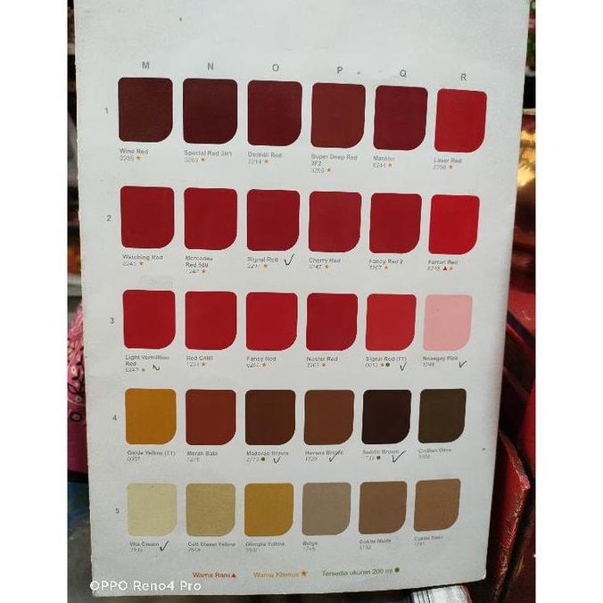 Top Color Danapaint 1 Kg