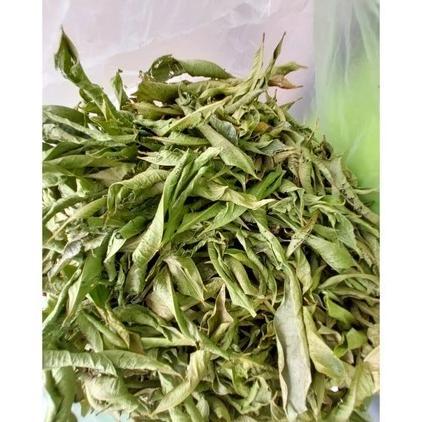 Daun Mahkota Dewa Kering Untuk Kesehatan Beragam