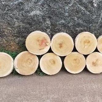 talenan daging kayu diameter 50cm - talenan kayu bulat - alat dapur -