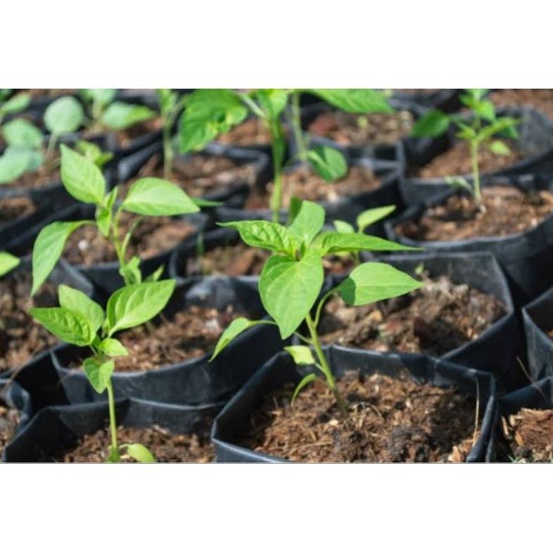 Bisa Cod Polybag Tanaman Ukuran 30X30 Isi 20/50/100 - Planter Tanaman Polybag Ukuran 30X30 - Polybag