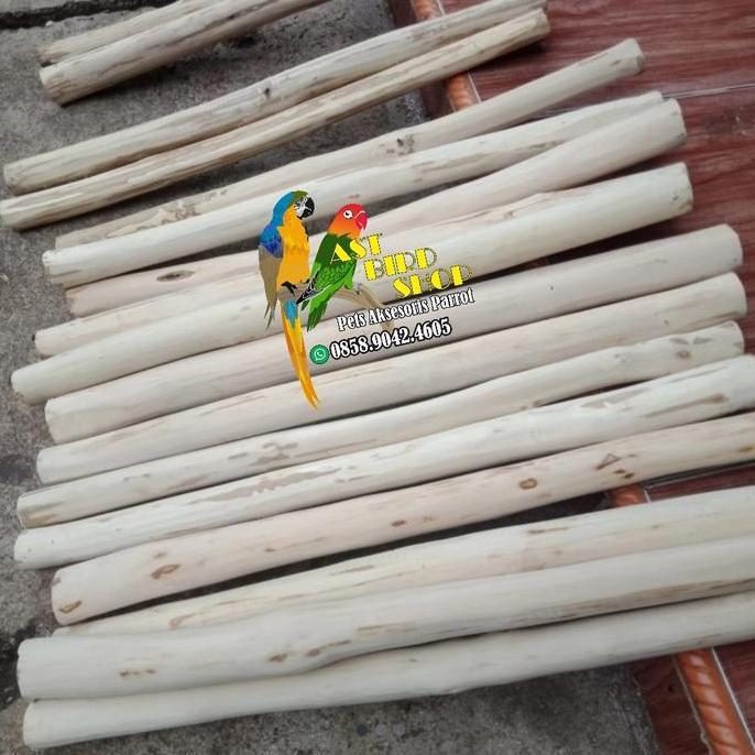 Kicaudor- Tangkringan Kayu Kopi Parrot Panjang 60 Cm