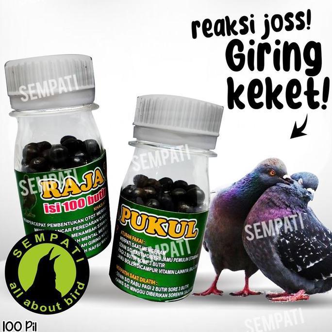 Kicaudor- Sempati Isi 100 Butir Jamu Merpati Raja Pukul-Jamu Merpati Balap-Merpati Kolong-Merpati Ti