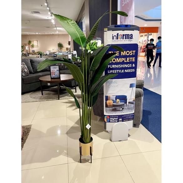 Pohon Pisang informa 160cm / Pohon Hias Palsu / Artificial Plant