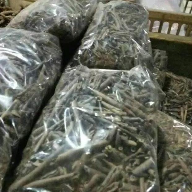 TERLARISS AMPO TANAH LIAT SANGRAI 500GR