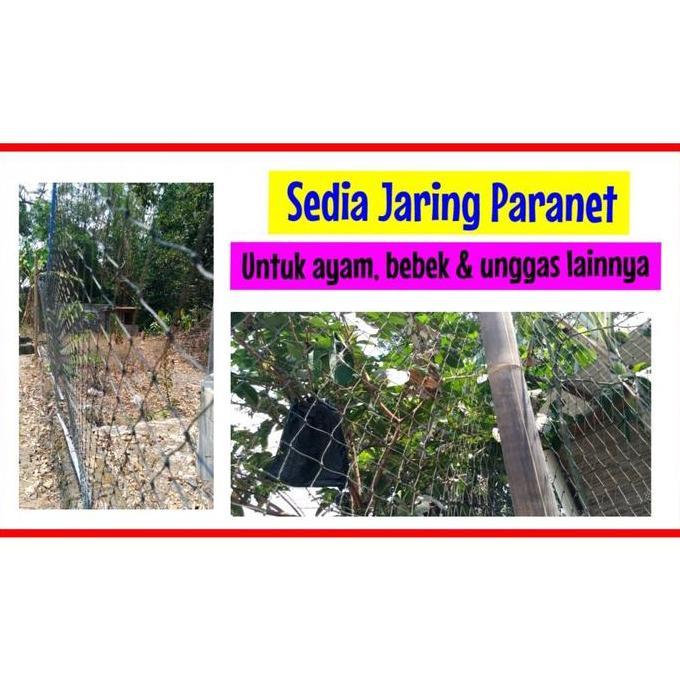 Jaring Ayam Lebar 3 Meter x panjang 25 meter Jaring Pagar Ayam Jaring Pagar Tanaman, Jaring ayam