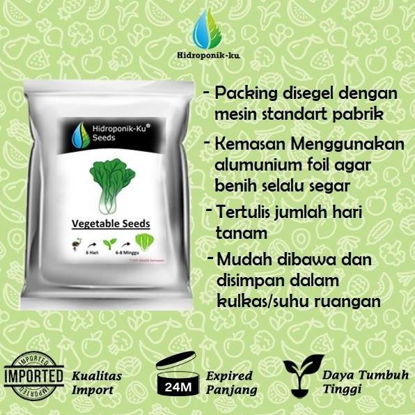 Bibit / Benih Terong Putih (30 Butir) Cap Panah Merah Hidroponik ku