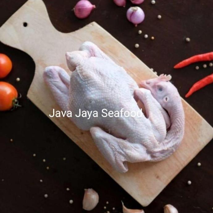 Ayam Pejantan / Ayam Panggang / Ayam Kampung