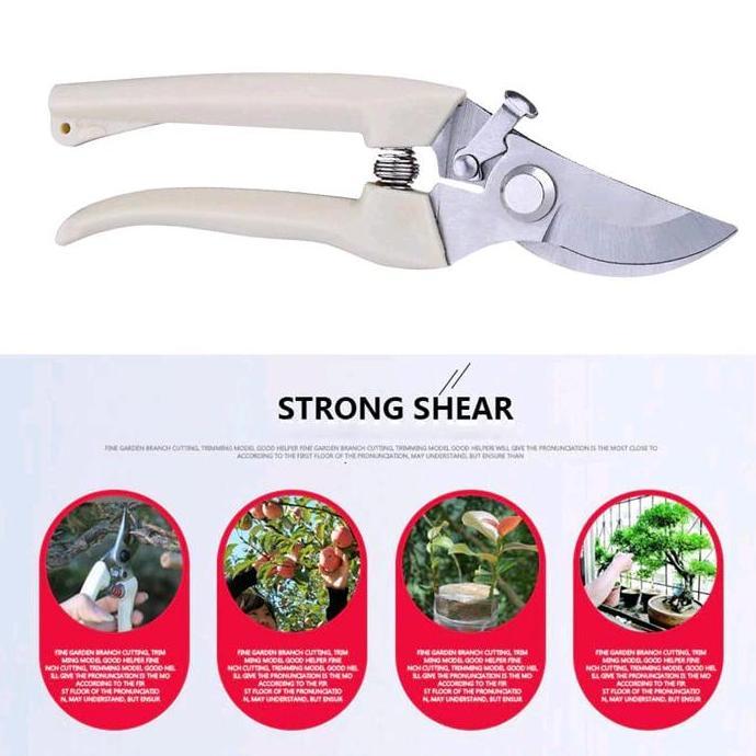 gunting dahan ranting pruning alat potong dahan ranting stek pruning