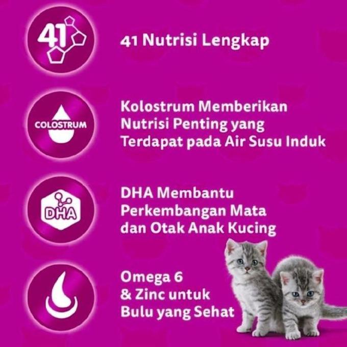 Whiskas Junior 1.1kg Whiskas Junior Tuna Whiskas Junior Ocean Fish Whiskas Junior Tuna Salmon Whiska