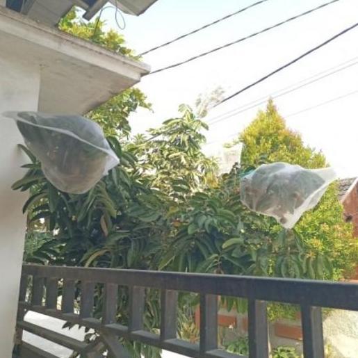 Fruit cover net jaring transparan pembungkus buah Kelengkeng Anggur dl