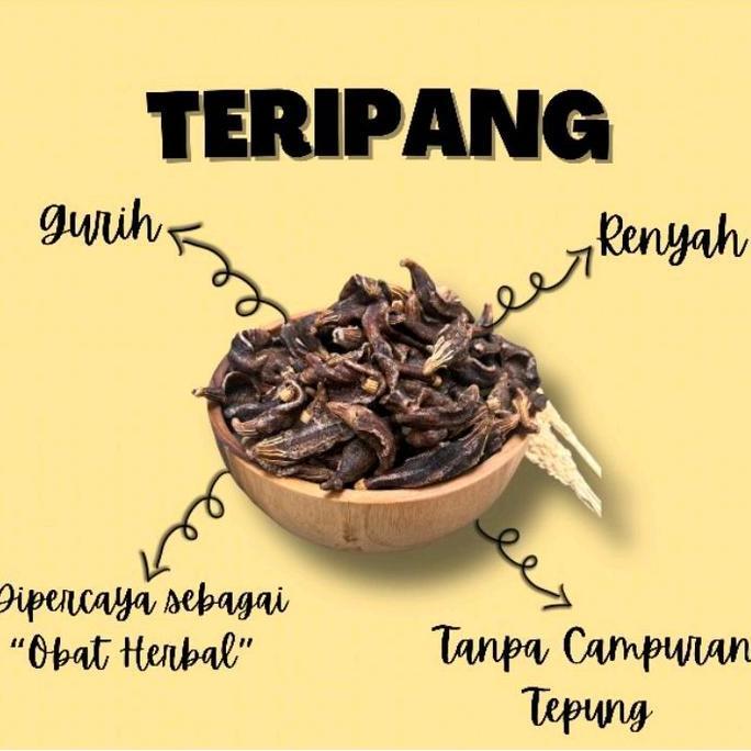 Kerupuk Tripang Asli Renyah 200gr-250gr Laut Snacks Krupuk Kering