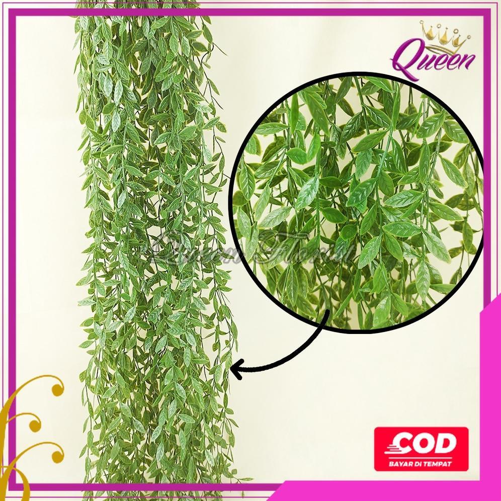 Termurah [Cod] Daun Juntai Likanyu Lee Kwan Yu Hoya Costa Plastik Artificial - Tanaman Gantung Hias 