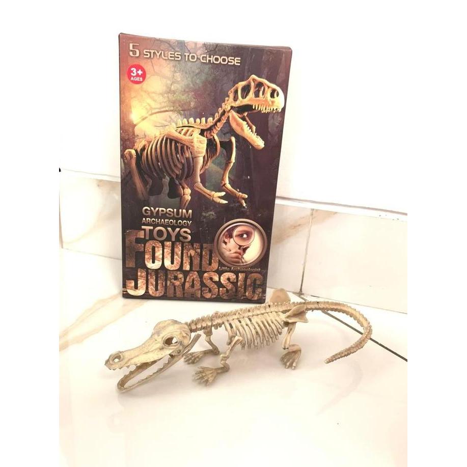 Mainan edukasi anak fosil dinosaurus / gypsum archaeology toys / fosil