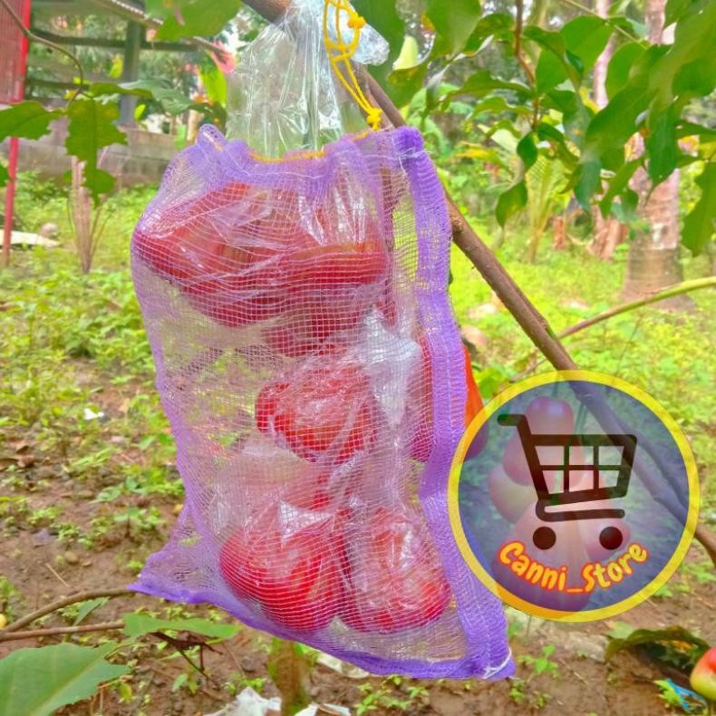 Promo Cod Fruit Cover Brongsong Buah Mangga Jambu Anggur ...