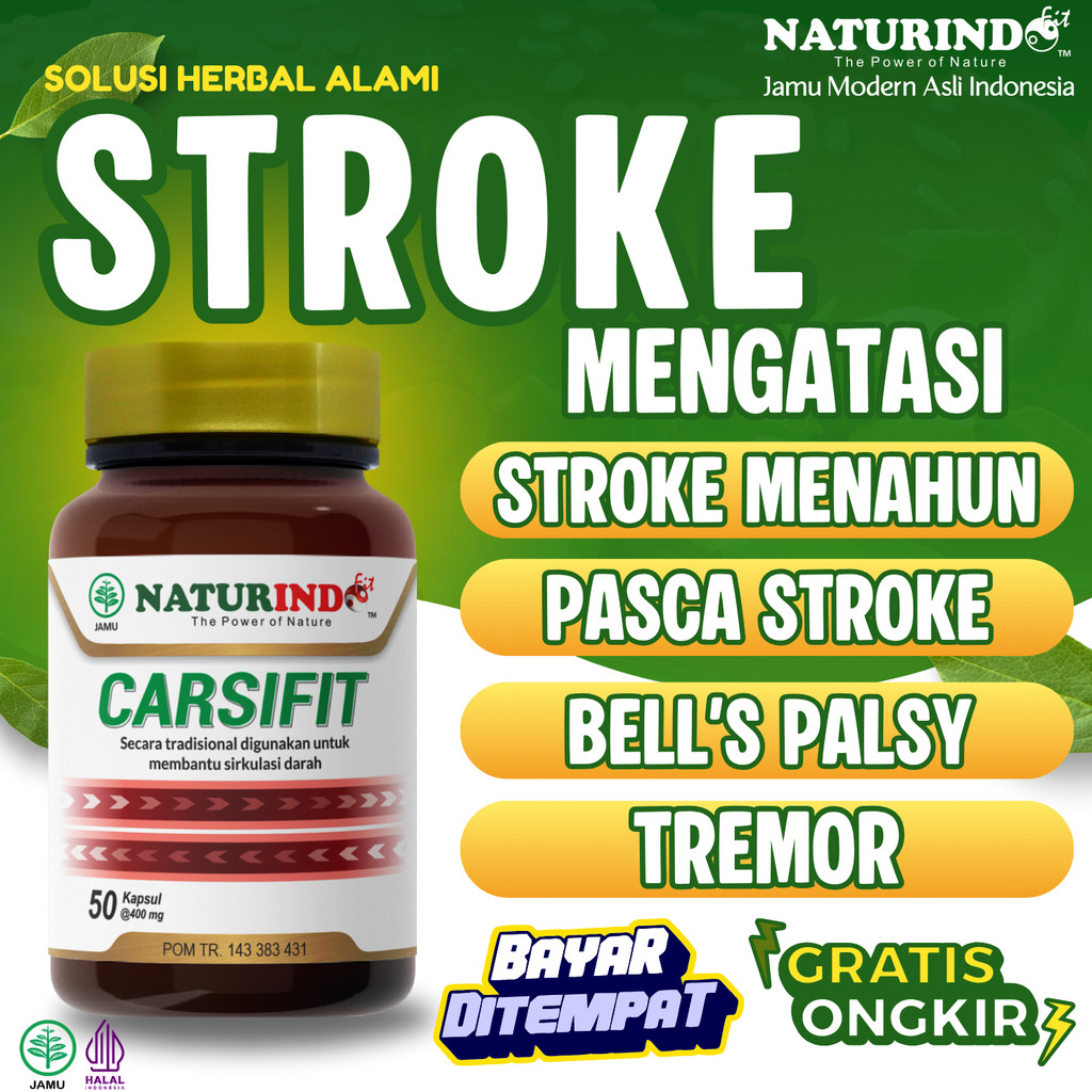 Obat Stroke Ringan Bells Palsy Stroke Wajah Terapi Pemulihan Pasca Stroke