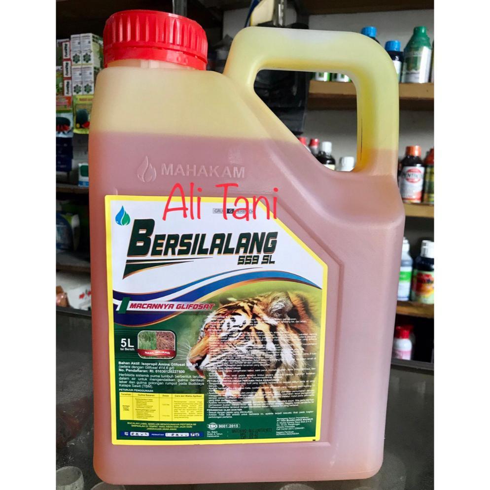 BERSILALANG 559 SL Kemasan 5 Liter Herbisida Sistemik/Racun Rumput Kebersihan