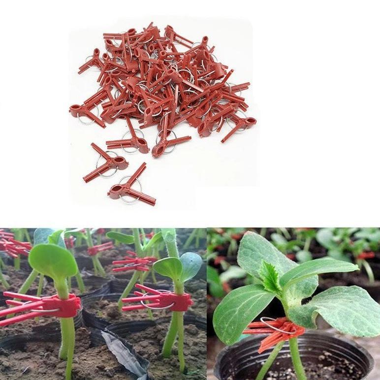 Promo Cod Grafting Klip Merah Grafting Clip / Klip Okulasi / Penjepit Merah ...