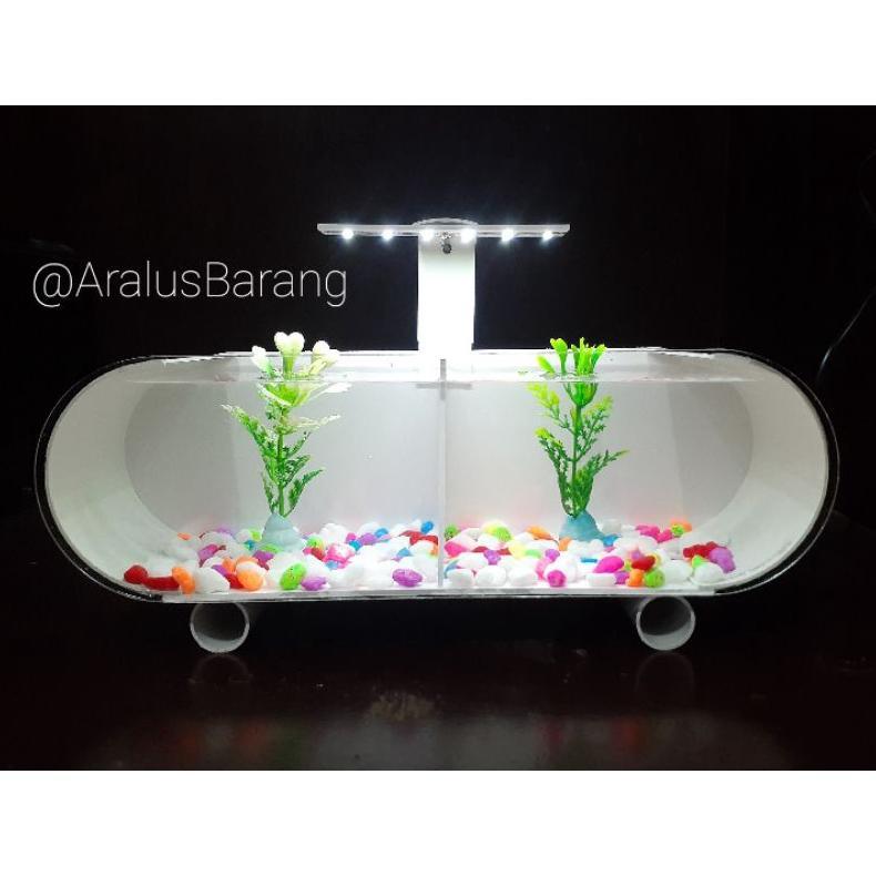 Aquarium Mini Plus Skat / Aquarium / Aquarium Mini / Aquarium Cupang / Aquarium Kaca / Aquarium Ikan