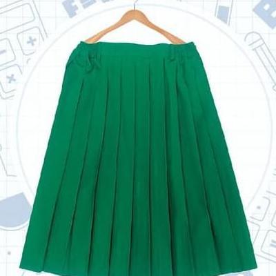 Rok Sekolah Hijau Pendek Rok Seragam Sekolah Anak