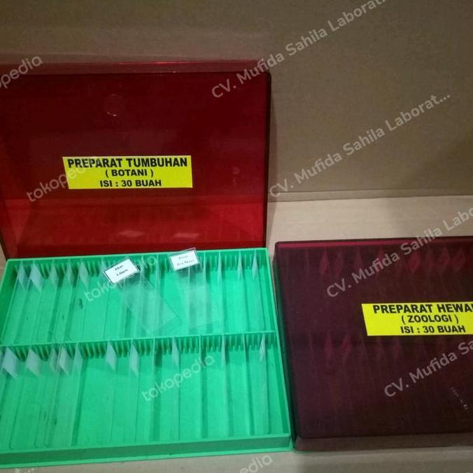 Slide Botany Isi 30 ( Preparat Tumbuhan )