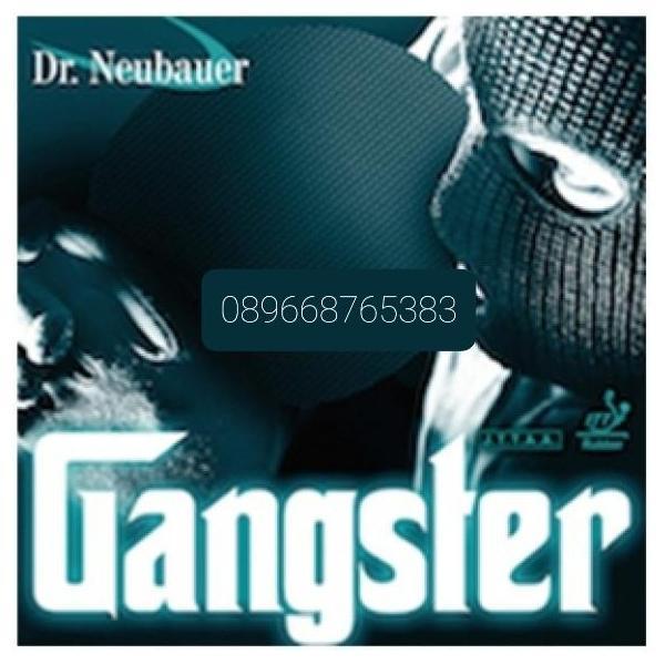 NEW Dr. Neubauer GANGSTER, Bintik Panjang