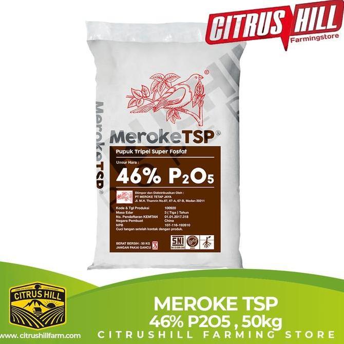 BEBAS ONGKIR - MEROKE TSP - 50kg (1 KARUNG)