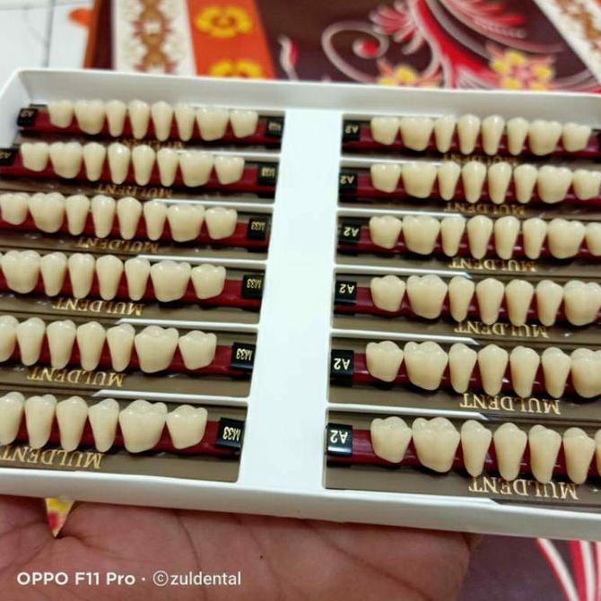 gigi palsu muldent per box 12 .graham atas dan bawah Original