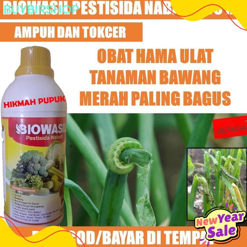 Diskon Kemerdekaan (Cod) Biowasil 500 Ml Pestisida Hama Ulat Bawang Merah, Bawang Daun, Padi Obat Ha