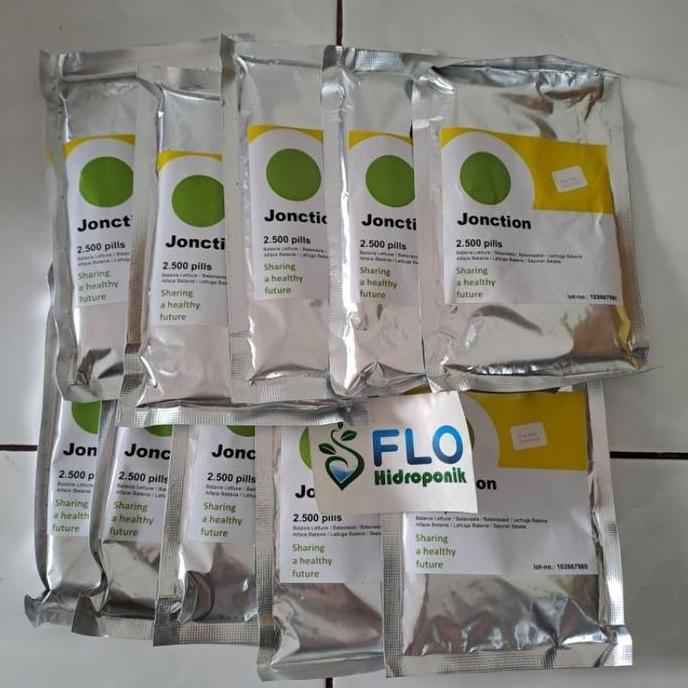 Terlaris Benih Selada Keriting Jonction Rz Junction Rz 1000 2500