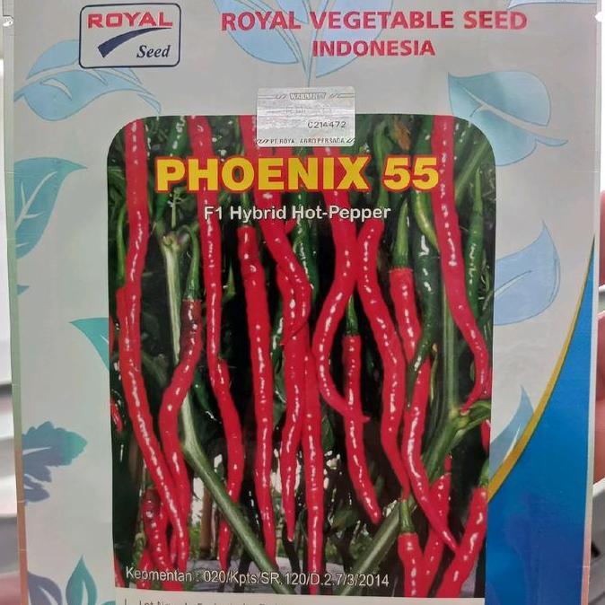 Terlaris Cabai Kriting Phoenix F1 10 Gr Royal Seed