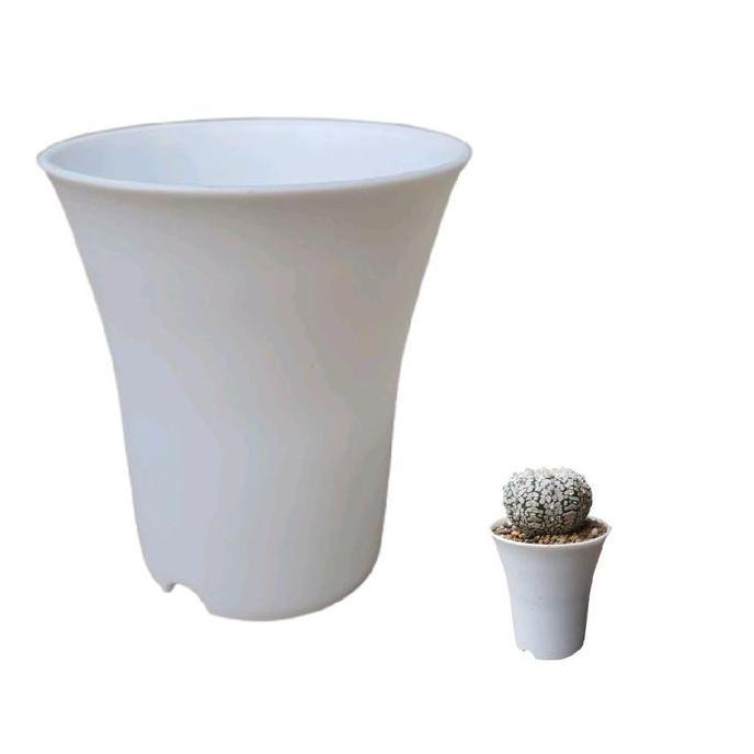 Terlaris Live105150  Pot Nkt Sanse Model Tinggi Bulat Ukuran 8Cm