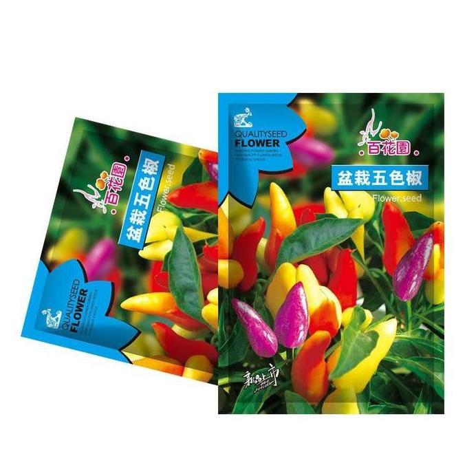 Benih Cabe hias numex Rainbow pelangi  250 benih Tanaman Cabai