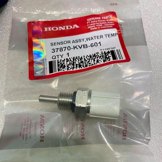 Sensor Panas/Eot Vario 110